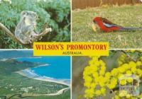 Wilson's Promontory