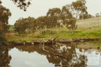 Solomon's Ford, Maribyrnong River, Braybrook, 2002