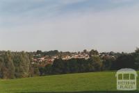 Looking east across Doncaster Municipal Gardens, 2002