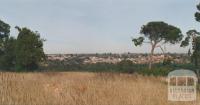 View south from Viewbank, 2002