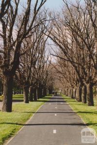 Elm walk, Bridge and Raglan Streets, Port Melbourne railway reserve, 2004