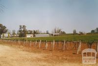 Vinifera, 2007