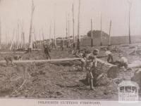 Colonists cutting firewood, Leongatha, 1912