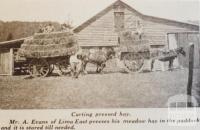 Carting pressed hay, Lima East, 1935