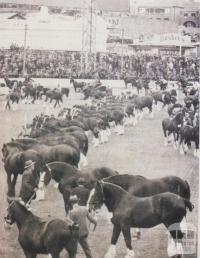 Ascot Vale Royal Show parade, 1935