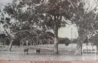 On the Warrandyte Road near Templestowe, 1942