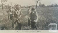 Pasture under irrigation at Calivel, Pyramid Hill, 1947