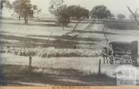 On the stock route near Dookie, 1943