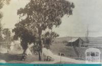 On the Bairnsdale-Lindenow Road, 1943