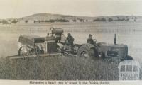 Harvesting wheat, Dookie district, 1949