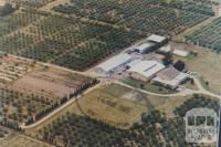 Horticultural Research Station, Scoresby, 1965