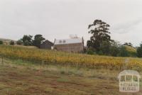 Goonawarra vineyard, Sunbury, 2010
