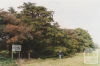 Centenary of white settlement plantation (1938), Ascot, 2010