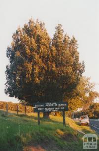 City of Knox Historic Avenue of Honour, 2010