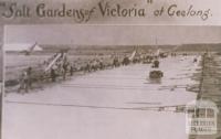 Salt Gardens of Victoria, Geelong, 1934