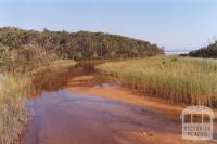 Thurra River, 2011