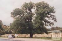 Barkly Park, Taradale, 2011