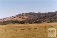 Yarra Glen, 2011