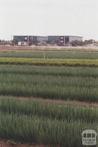 Market Garden, Heatherton, 2011