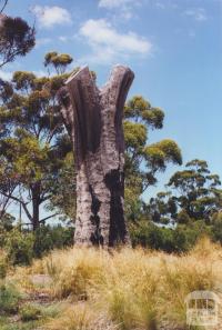 Aboriginal Tree, Burnley Park, 2000