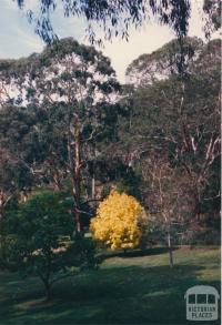 Kirks Reservoir, Ballarat, 1980