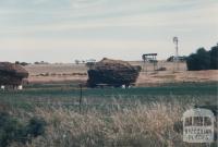 Hay, Galah, 1980