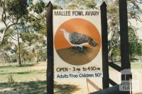 Mallee Fowl Aviary, Nhill, 1980