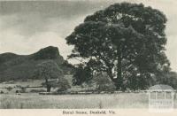 Rural scene, Dunkeld, 1952