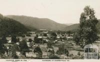 Panorama of Harrietville
