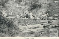 Wyuna Spring, Hepburn Springs