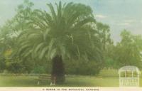 A scene in the Botanical Gardens, Horsham, 1951