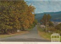Woods Point Road, Jamieson