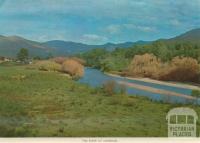 The River at Jamieson