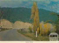 Gooley's Bridge, Jamieson