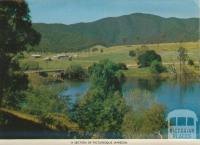 A section of picturesque Jamieson
