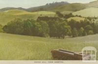 Cooks Hill from Hospital, Korumburra