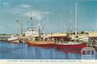 Unloading the trawlers at the Fish Wharf, Lakes Entrance, 1965