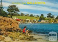 Part of the Foreshore Camp from historic Captain Stevenson's Point, Mallacoota