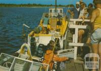 On the Mallacoota wharf as the abalone catch is unloaded