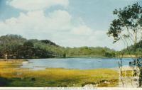 A Glimpse of Beautiful Lake Catani, Mount Buffalo, 1958