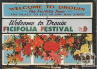 Drouin Ficifolia Festival