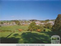 Overlooking the Township of Fish Creek