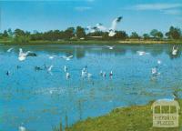 Lake Guthridge, Sale