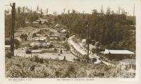 The township of Sassafras
