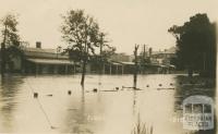 Seymour in flood, 1916