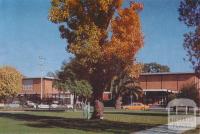 Civic Buildings from Queens Park, Shepparton