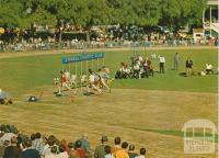 The Stawell Gift - Athletics Club Race, Stawell