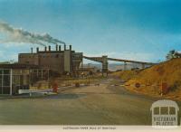 Australian Paper Mills at Maryvale