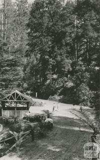 Cement Creek