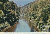 General Scene of the Thomson River from the Road Bridge at Walhalla